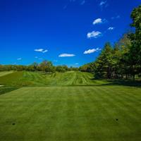 Hole 11 - Par 5