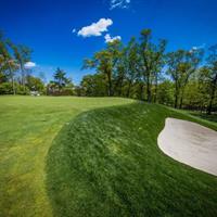 Hole 12 - Par 4