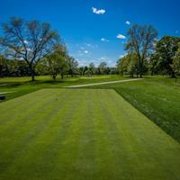 Hole 15 - Par 3