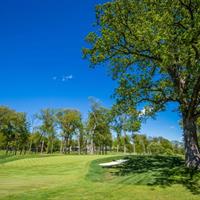 Hole 16 - Par 4